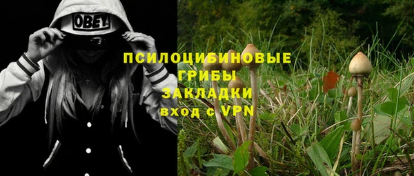 молекула духа Тавда