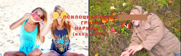 дурь Ступино